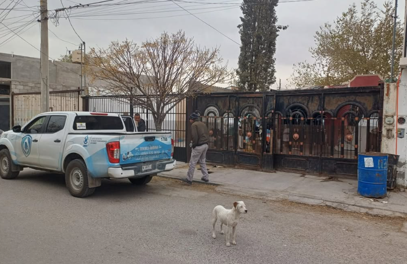 JMAS REFUERZA OPERATIVOS CON DENUNCIAS CIUDADANAS A TRAVÉS DE WHATSAPP; AUTOLAVADO, FERRETERÍA Y VIVIENDA INVOLUCRADOS EN CASOS RECIENTES