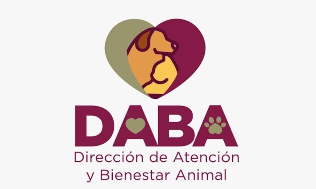 SUSPENDEN LA ADOPCIÓN DE MASCOTAS