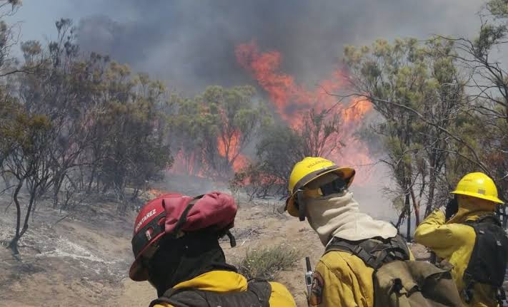 TEMPERATURAS BAJO CERO MANTIENEN EN ALERTA A PROTECCIÓN CIVIL; REPORTAN TRES INCENDIOS Y 11 TRASLADOS AL ALBERGUE