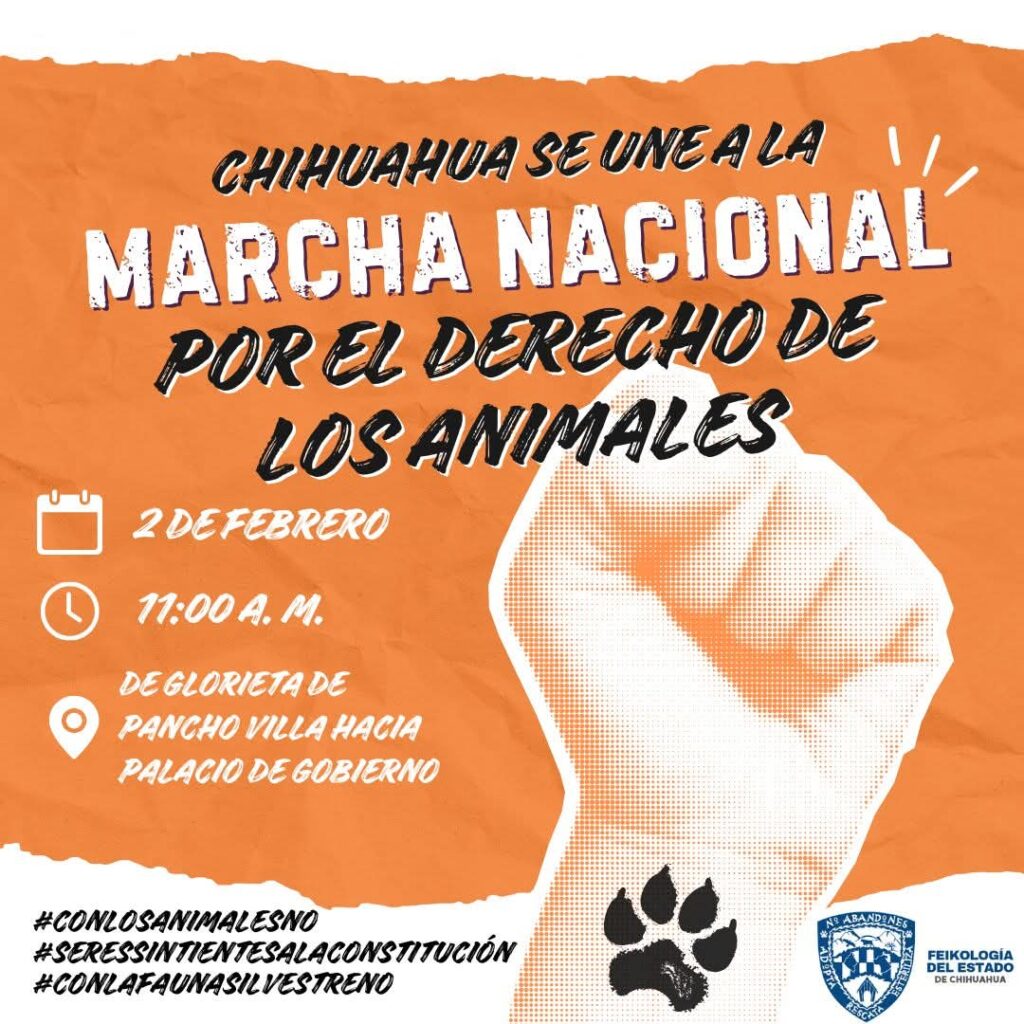 Marcha Nacional por los derechos de los animales exigirá reconocerlos como seres sintientes; se realizará este 2 de febrero