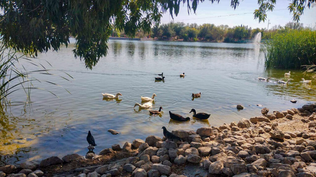 Parque Central supera los 2 millones de visitantes en 2024