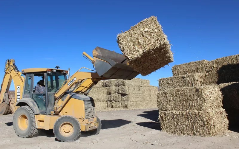 CON INVERSIÓN DE 78 MILLONES DE PESOS, EL ESTADO APOYARÁ A 8 MIL PRODUCTORES CON PACAS DE RASTROJO