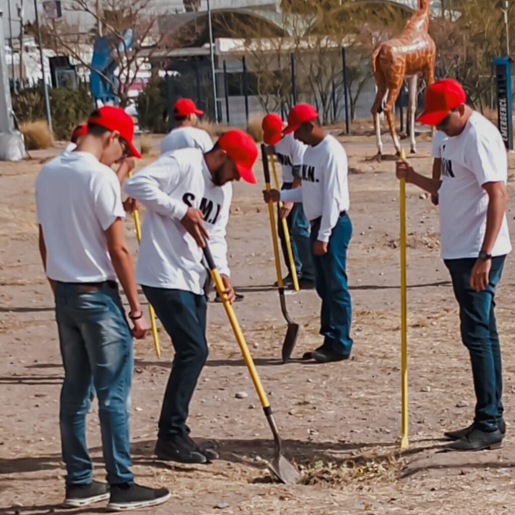 NO SE TALAN ÁRBOLES PARA EL COMERCIO EN EL PARQUE CENTRAL; LOS ESPACIOS DE VENTA SE MANTIENEN REGULADOS
