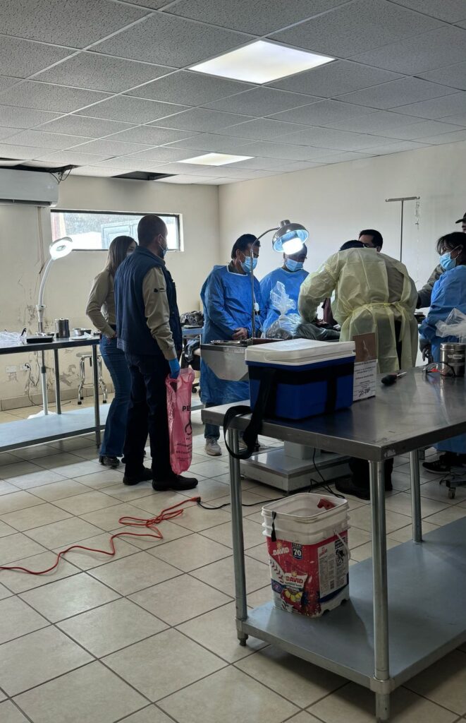 CAPACITA SALUD ESTATAL A PERSONAL DE DABA PARA ACTUALIZAR PROCESOS MEDICOS VETERINARIOS