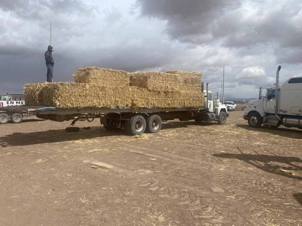 Benefician a productores de Praxedis G. Guerrero con más de 230 toneladas de insumos