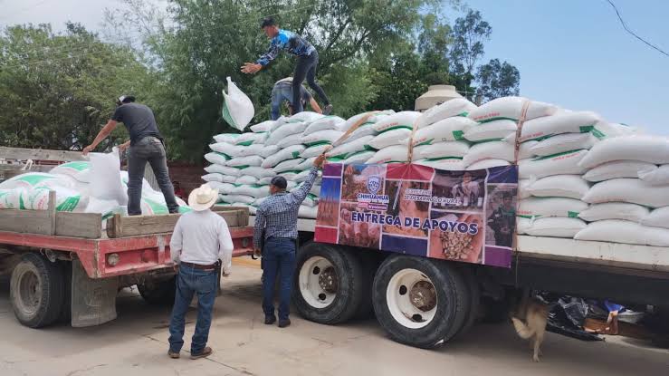 BRINDA SDR APOYO A PRODUCTORES CON LA ENTREGA DE 800 TONELADAS DE INSUMOS