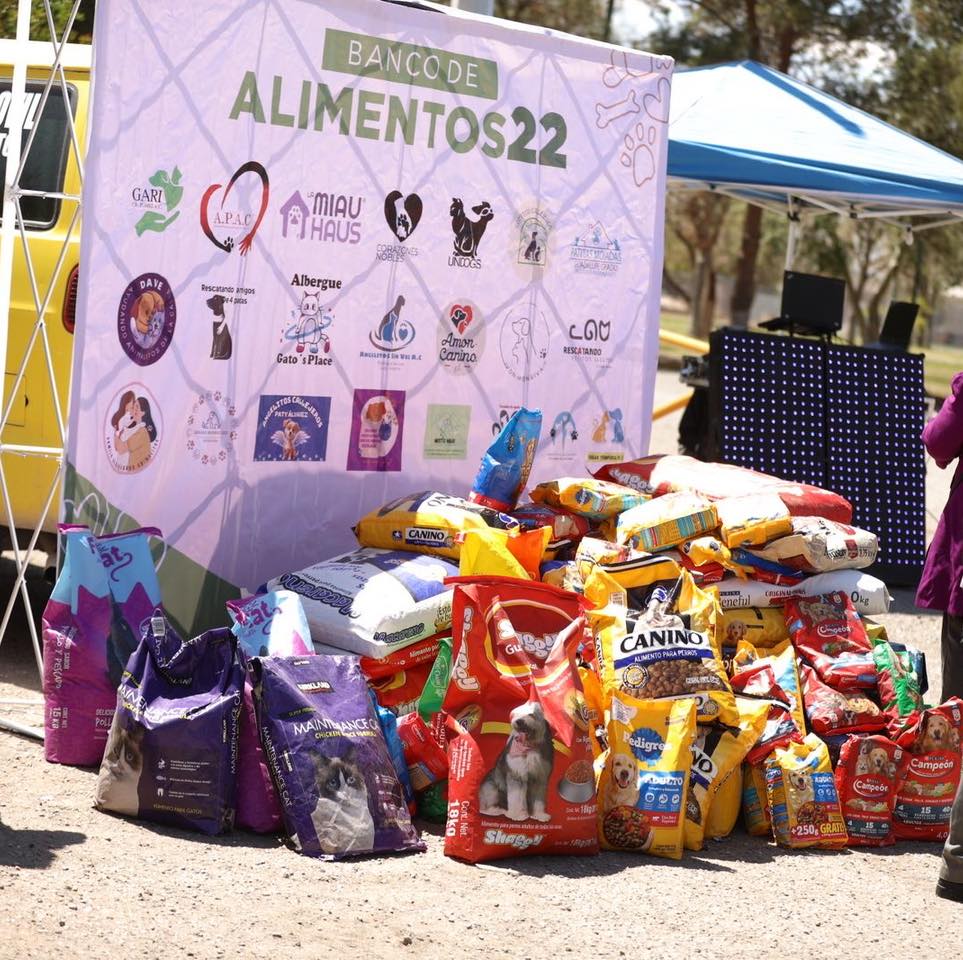 DABA Y LOS RESULTADOS CON EL CARSHOW RUEDAS DE ESPERANZA, QUE REALIZARON EN EL CHAMIZAL