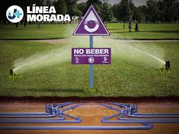 INVITAN A MÁS FRACCIONAMIENTOS A SUMARSE A LA LÍNEA MORADA; BUSCAN FORTALECER EL CUIDADO DE ÁREAS VERDES EN LA CIUDAD