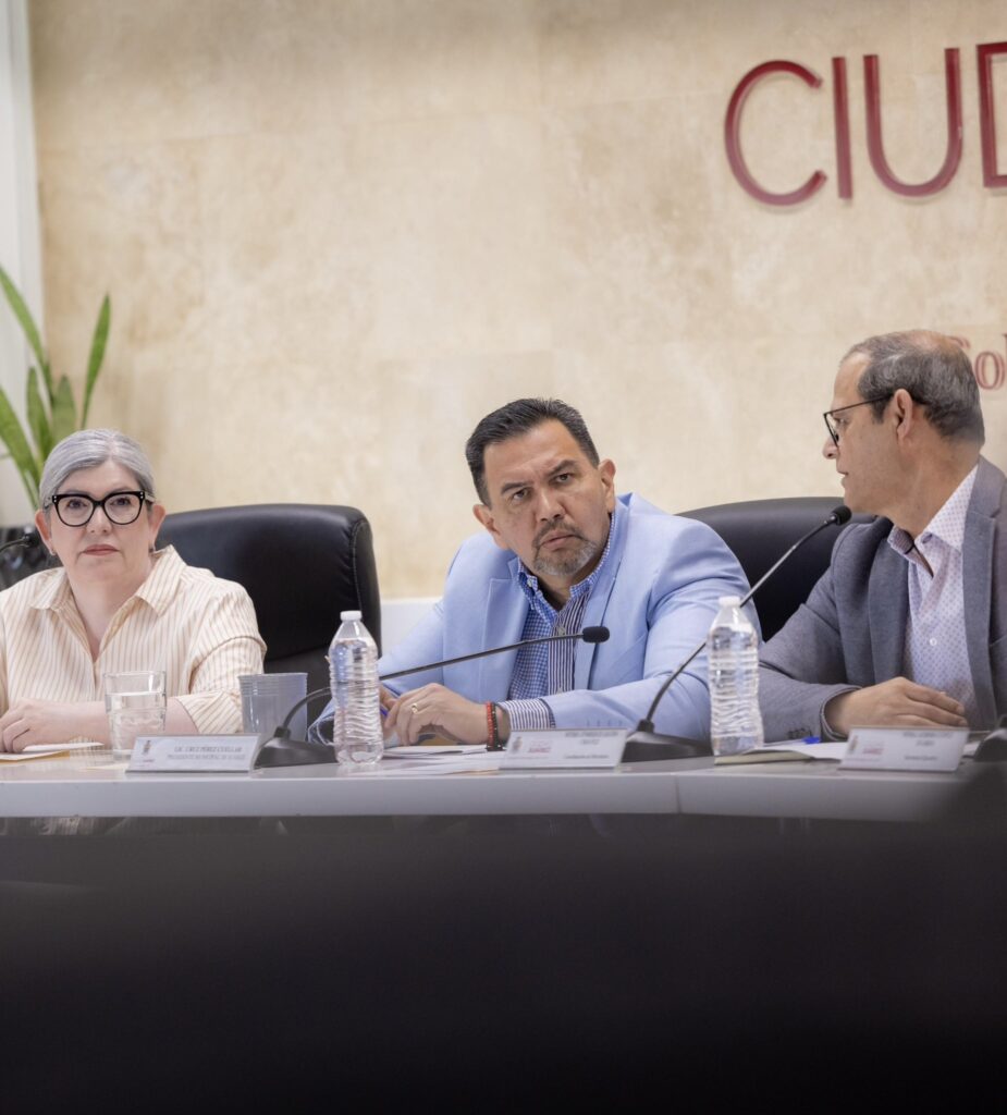 ACLARAN REGLAS SOBRE CAMPAÑAS ANTICIPADAS DENTRO DEL CONSEJO NACIONAL DE MORENA